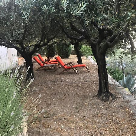 Le Clos En Provence Flayosc Rum bild