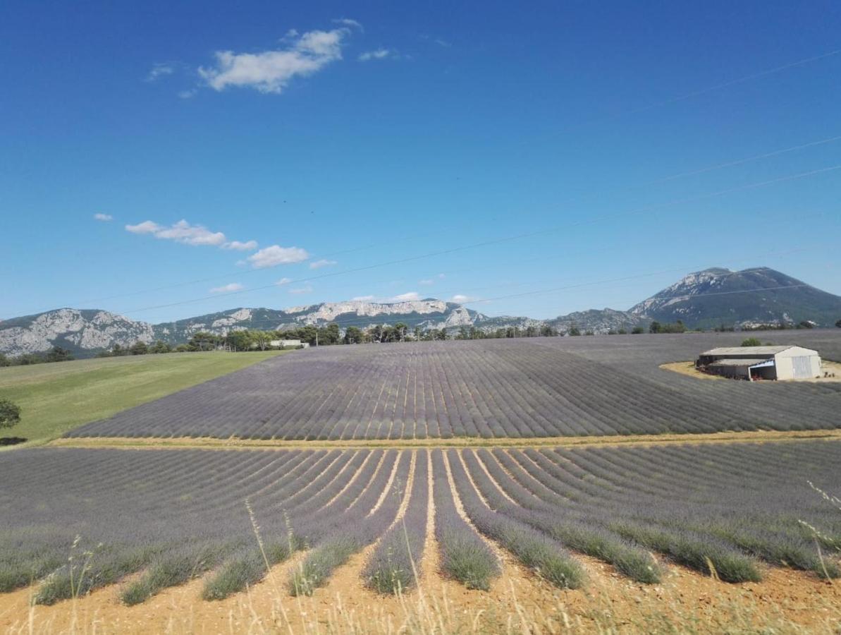 Le Clos En Provence Flayosc Exteriör bild
