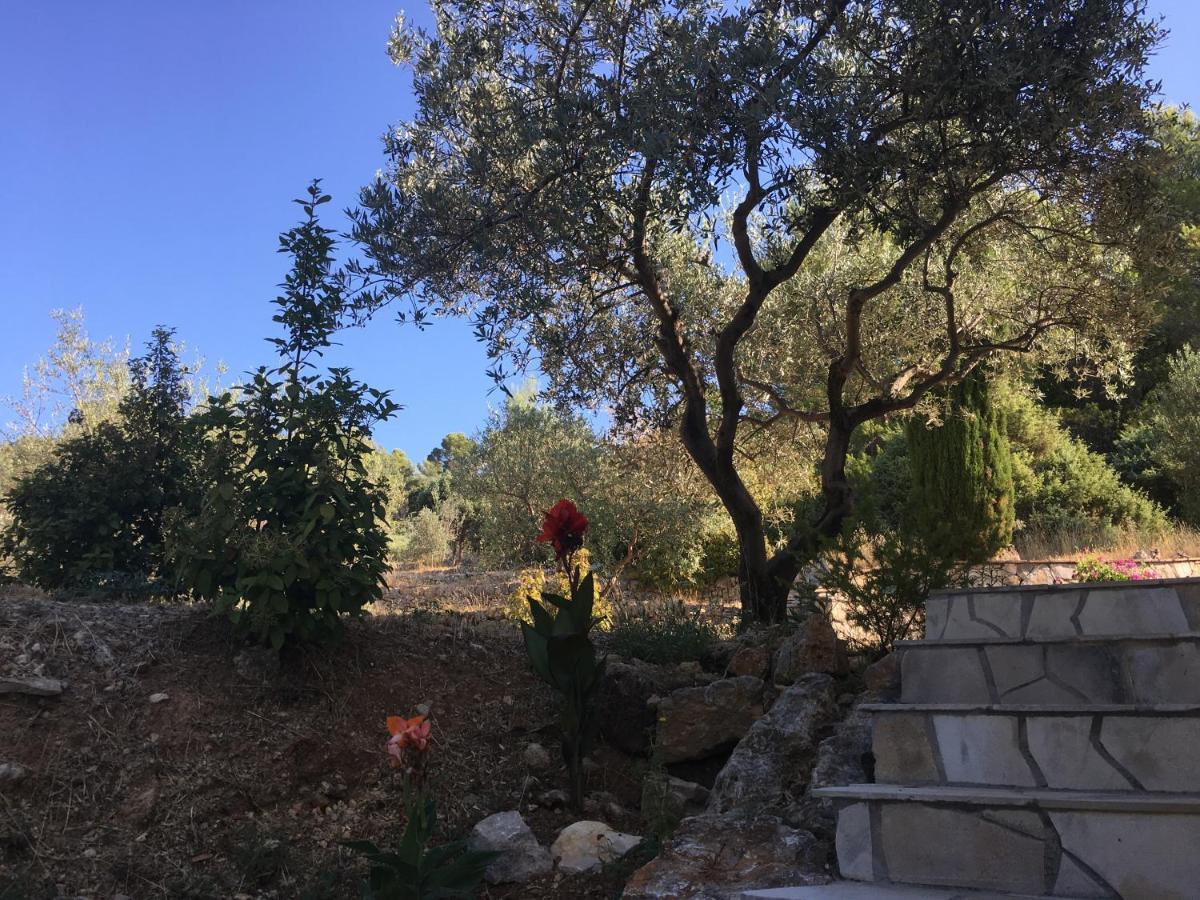 Le Clos En Provence Flayosc Exteriör bild