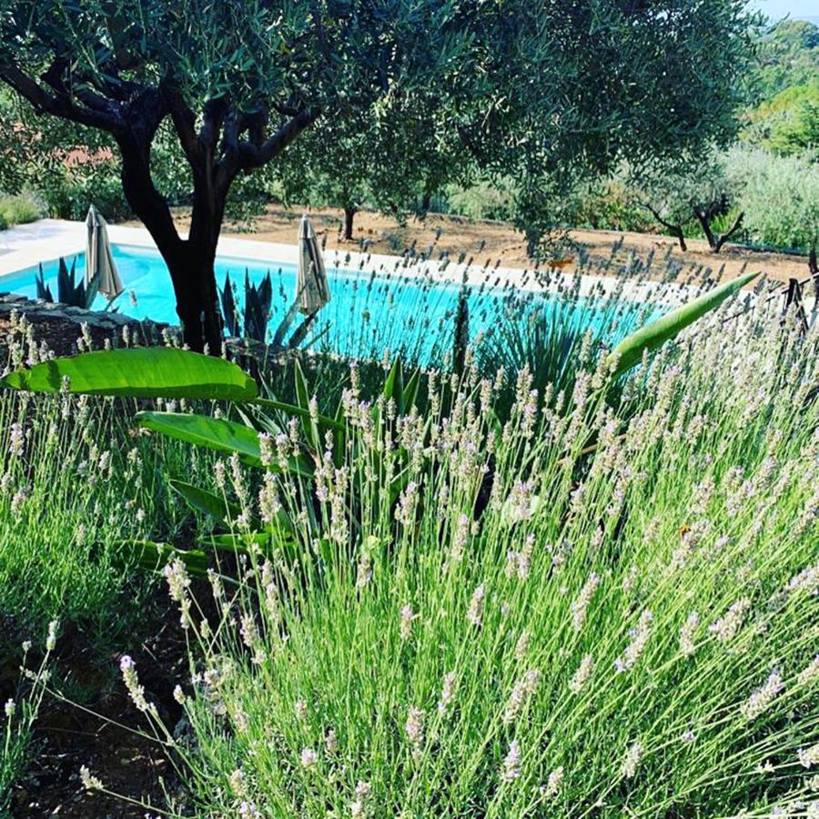Le Clos En Provence Flayosc Exteriör bild
