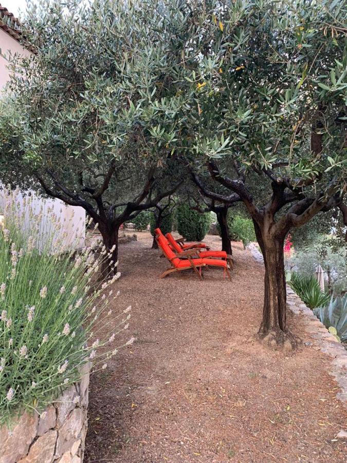 Le Clos En Provence Flayosc Exteriör bild