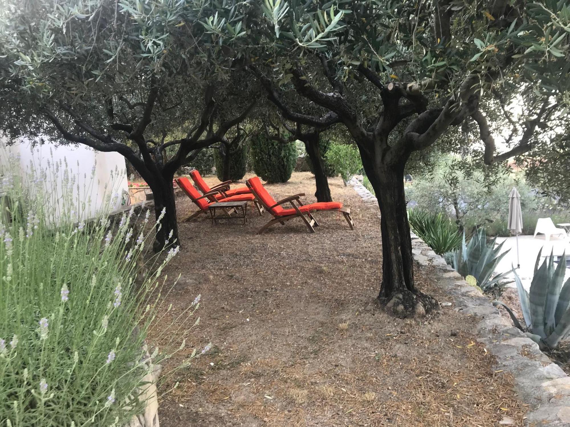 Le Clos En Provence Flayosc Rum bild